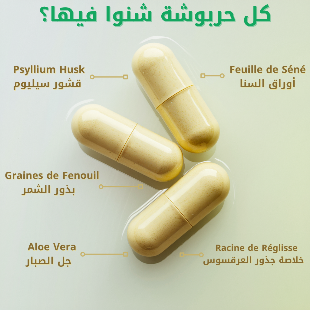 كل حربوشة شنو فيها؟.png__PID:707fc7f5-1944-478c-96c6-4b14b52b8f85